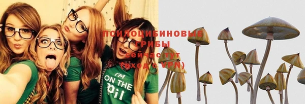 трава Лихославль