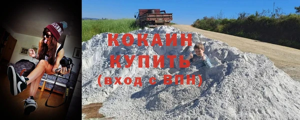 трава Магас