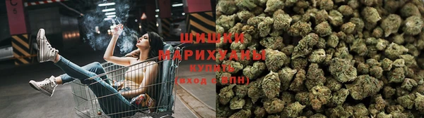 apvp Майский