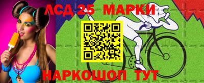 шишки Апшеронск