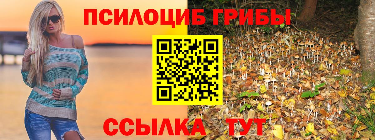 Галлюциногенные грибы ЛСД Семилуки